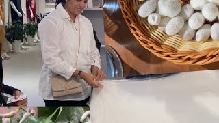     🐛 From Caterpillar to Silk – Nature’s Amazing Journey