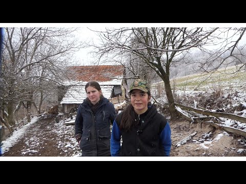 “Prije škole – štala, krave i konji: Nevjerovatna priča dvije sestre iz Zlokića”Admira i Adna