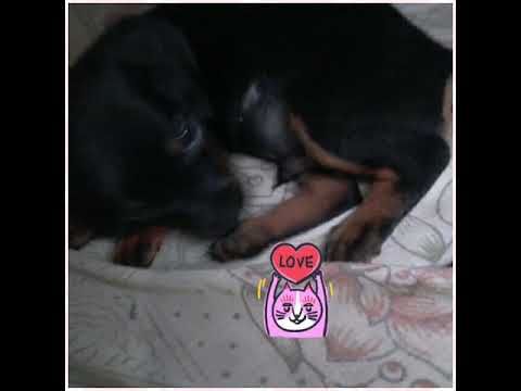 පුංචි කාලෙ ඉදන් මතක එකතුව