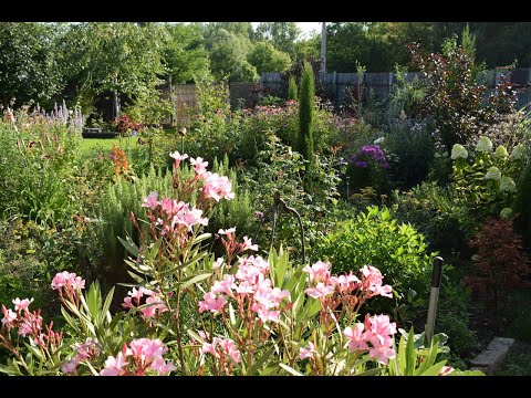 Visszatekintő, 2025 májusa 6. rész