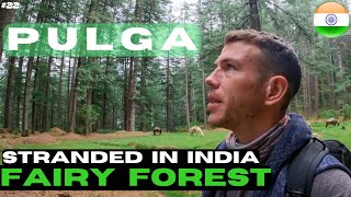 Ride to Pulga, best one in India so far? Exploring a Fairy Forest - Motorcycle Vlog EP21