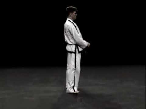 Four Direction Punch / Saju Jirugi 3/4