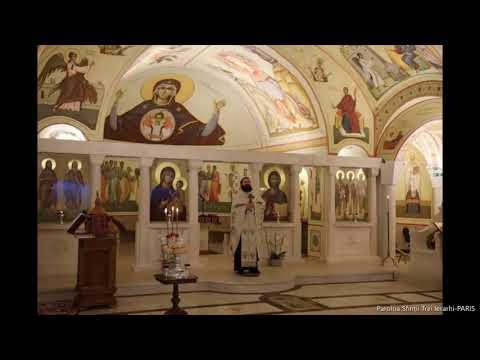 Boala. Suferința. Orbirea sufletească-Predica la Duminica orbului