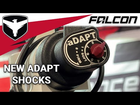 aDAPT | Falcon Shocks
