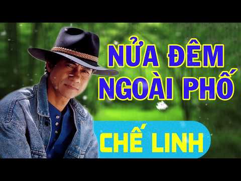 download lagu mp3 mp4 Nua Dem Ngoai Pho Che Linh, download lagu Nua Dem Ngoai Pho Che Linh gratis, unduh video klip Nua Dem Ngoai Pho Che Linh