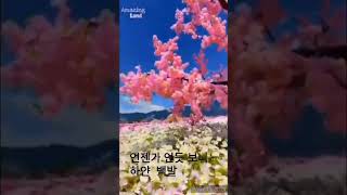 Download lagu 옛날노래 mp3