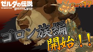 【BotW】自由！！ゼルダの伝説ブレスオブザワイルドPart17【実況】