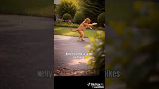 Download lagu LUCKY MSHENGU VS MAVELA NENE mp3