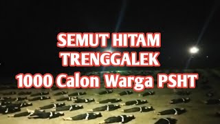 Download lagu Trenggalek Basis Terate mp3