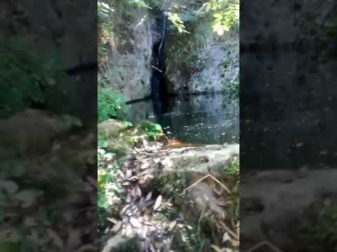 Gibia se encuentra en pallagorio ( puheriu) crotone Italia