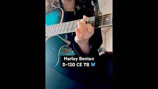 Cannonball on a (beautiful) budget guitar #guitar #acousticguitar #guitarcover #harleybentonguitars