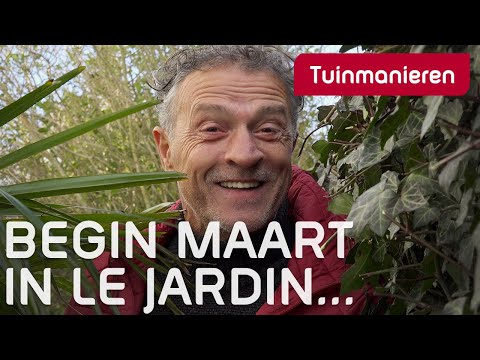 Wat te doen in maart in de tuin | Tuinmanieren