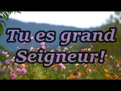 Tu es grand Seigneur!