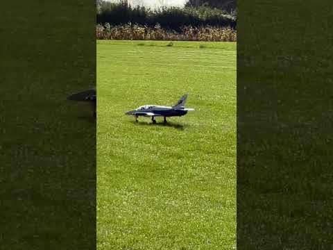 Having fun with the Freewing L-39 Albatros EDF | Jet