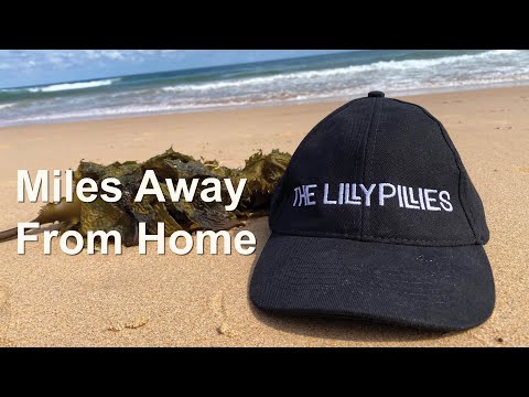 The Lillypillies - Miles Away From Home