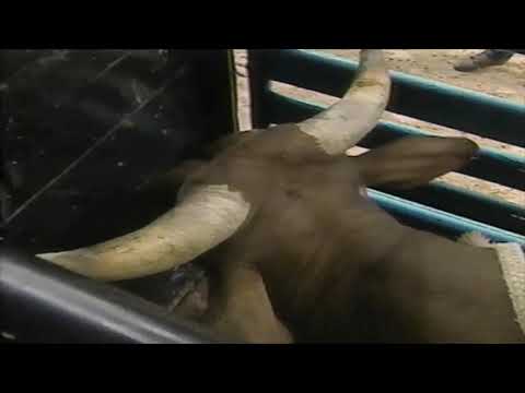 J.W. Hart vs Sheriff - 96 PBR Finals (85.5 pts)