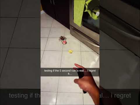 Ich teste gerade, ob die 5-Sekunden-Regel stimmt… Ich bereue es… #shorts #lustig