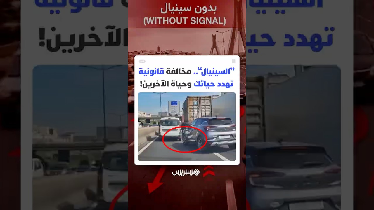 شكاوى متصاعدة من سلوكيات متهورة.. سيارات تغيّر مسارها دون "سينيال" وتحوّل الطرق إلى خطر يومي thumbnail