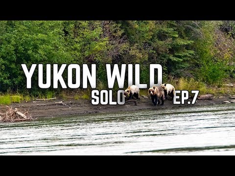 14 Days Solo Camping in the Yukon Wilderness - E.7 - Grizzly Bears & Pancakes for Dinner