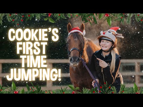CAN MY BABY PONY JUMP!? COOKIE JUMPS FOR THE FIRST TIME!