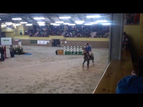 Calidos - Konkurs Barier (ostatnia runda) 175 cm - HPP Wrocław 6-8.11.2015