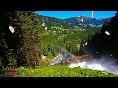 Samuél de Camargo Vol.4