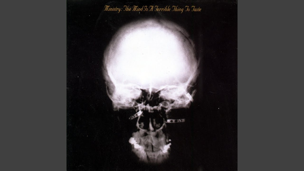 Ministry - Never Believe