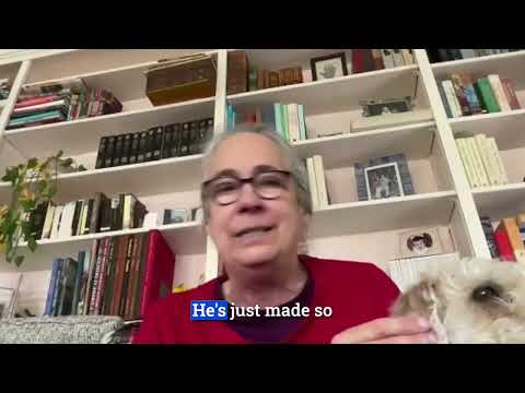 Homeschool by LAY LO: Dog training with world-class experts video.