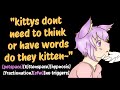 Asmr Putting You In Kittyspace Petspace Hypnosis Fractionation Petre Sfw