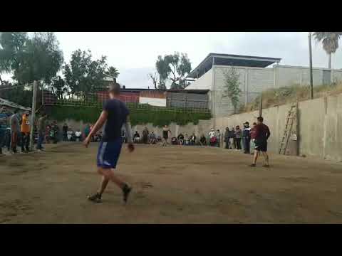 BRAYAM LUQUE VS PERRO VRAVO