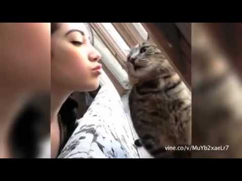 Hilarious! These Animals Don't Want to Be Kissed