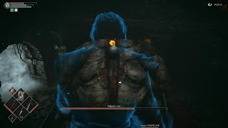 Demon's Souls Sorcerer cooperation vs The Adjudicator