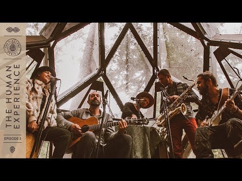 The Human Experience - Broken Open  | The Pinecone Series - Episode 3