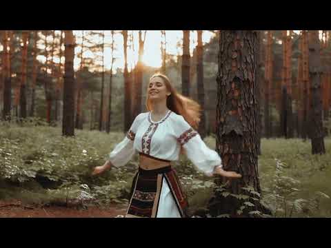 RockHub - Дремучий лес