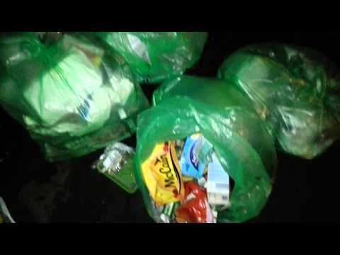 ripped bins and food waste