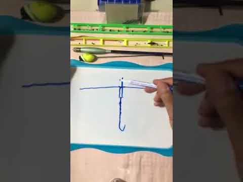 Montage Anglaise / Bolognese  1 ère Partie