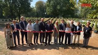 Orbassano, nasce la prima vigna terapeutica in un ospedale pubblico italiano