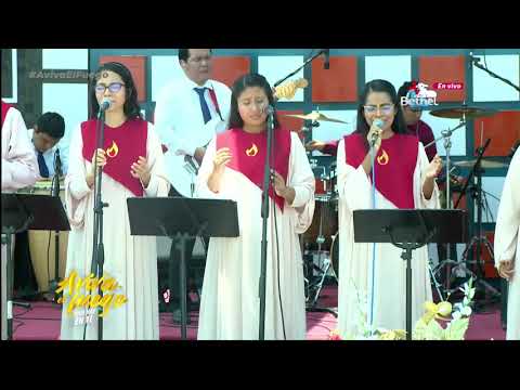 COROS DE ADORACIÓN ❤️ 🙌 | TE ANHELO - JESÚS, JESÚS, JESÚS - AMOR INCOMPARABLE