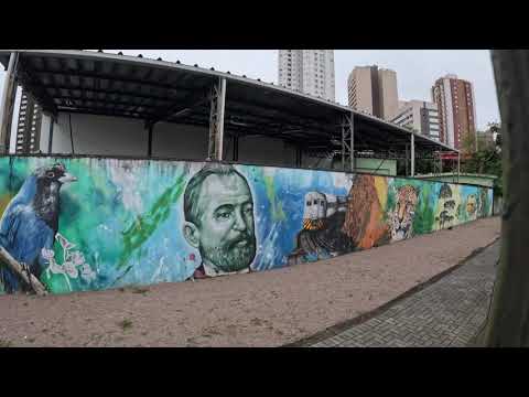 Serra Verde Express Train Curitiba to Morretes  Brazil What the travel vloggers won't show you!