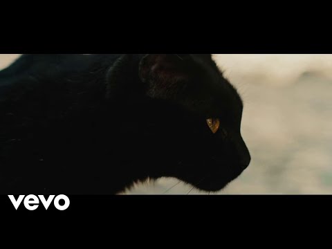 Ibrica Jusić - Mačka