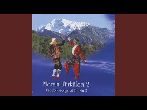 Video Yükleniyor...