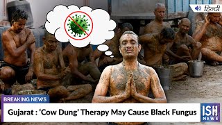 Gujarat : ‘Cow Dung’ Therapy May Cause Black Fungus