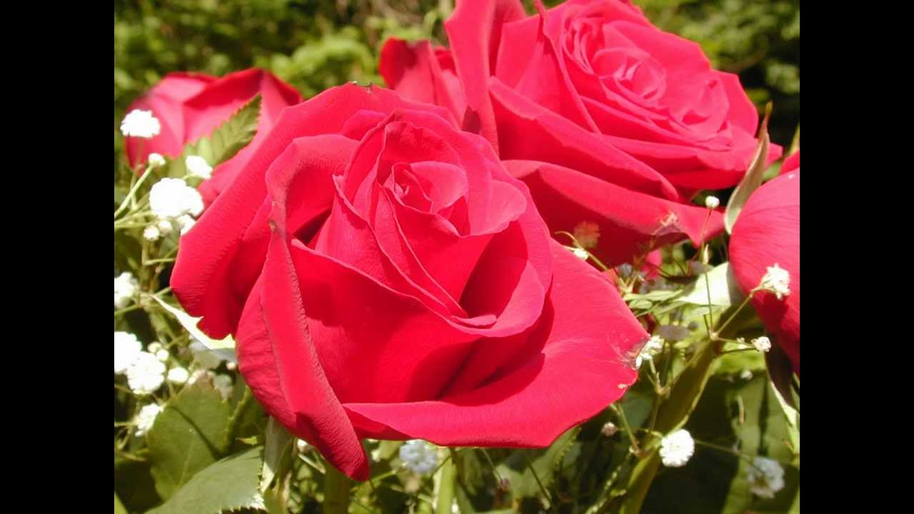 Dekho Jidhar Bhi Lyrics  | Hafta Bandh | Jackie Shroff, Aditya Pancholi | Kumar Sanu | Bappi Lahiri