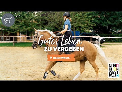 Gutes Leben zu vergeben - Halle (Westf.)