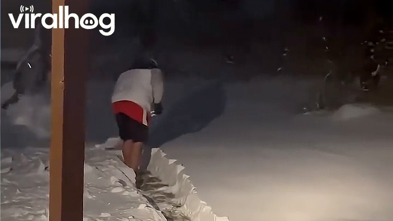 Dedicated Dog Dad Shovels Bathroom Spot In Snow || ViralHog