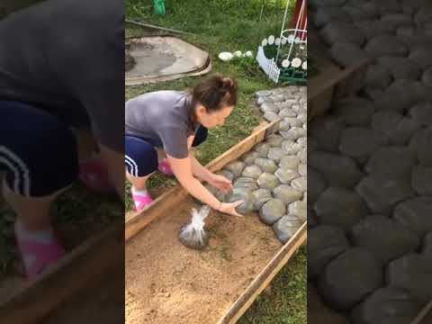 how make a walkway  follow me ❤️@#shorts