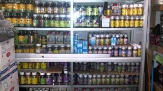 Download lagu Harga ace maxs yg asli mp3