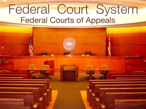 連邦控訴裁判所 (Federal Courts of Appeals)