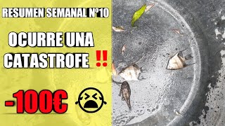 😭Resumen semanal Nº10 (Ocurre una CATASTROFE)