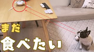 梨が美味しすぎてその場から動かない愛犬😅